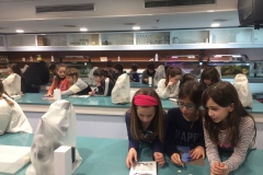 aquarium (2)