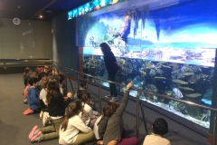 aquarium (8)