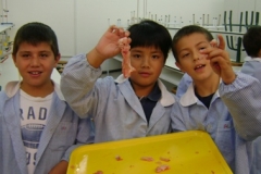 DSC03009