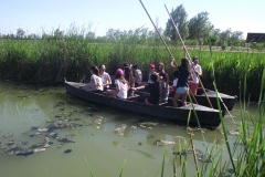 DELTA DE LÉBRE 173