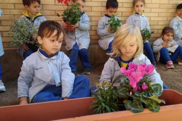 IMG_20201111_121442