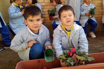 IMG_20201111_121622